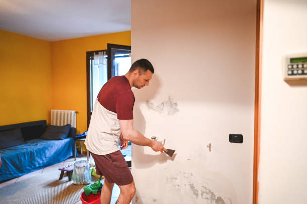 Best Basement Mold Remediation in Middle Valley, TN